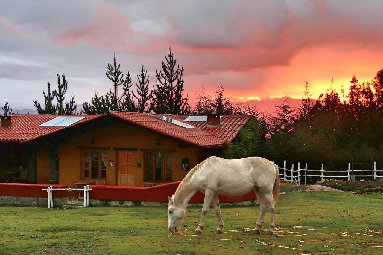 Lodge The Lazy Dog A Mountain Huaraz (Ancash)