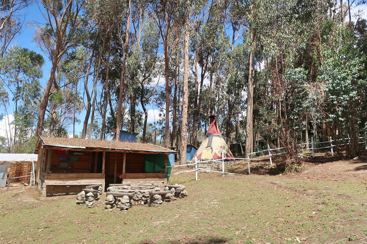 The Lazy Dog A Mountain Huaraz (Ancash)