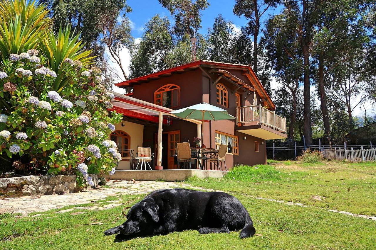 Lodge The Lazy Dog A Mountain